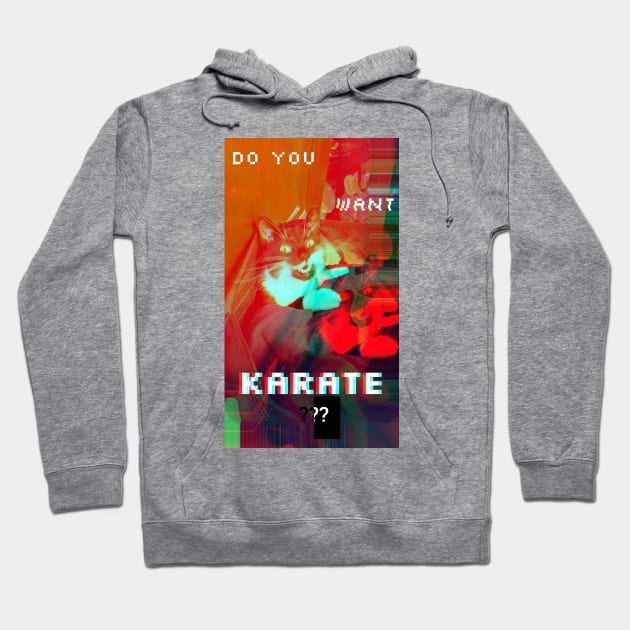 Do you want Karate??? Hoodie by PifflesPieces